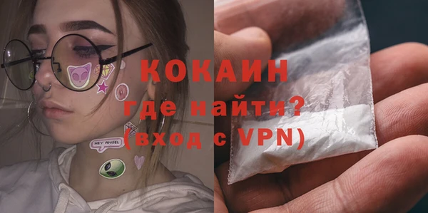 эйфоретик Бородино