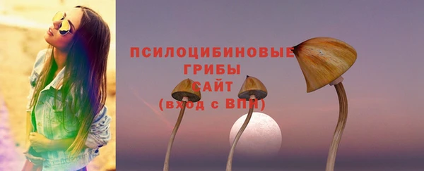 spice Сатка