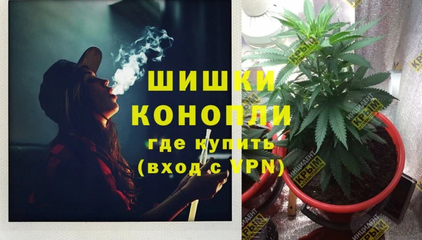 эйфоретик Бородино